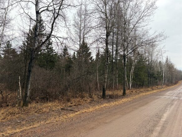 ON Sheep Camp Road Ladysmith WI 54848 — photo 1