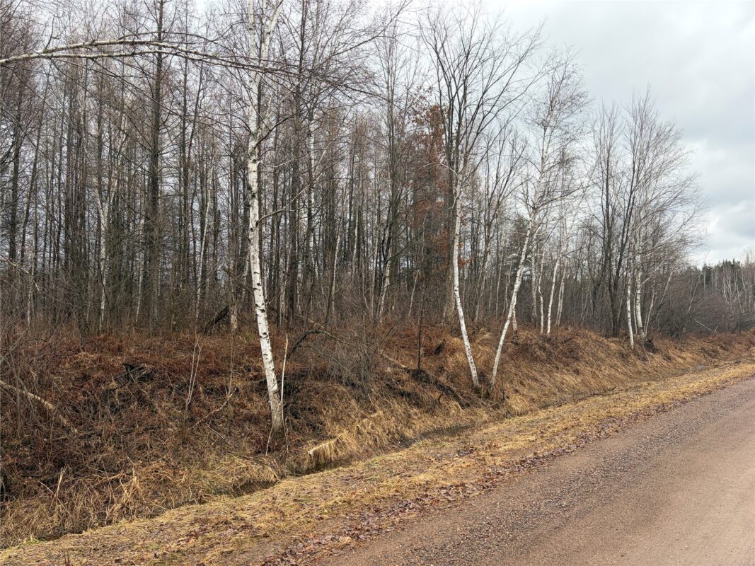 ON Sheep Camp Road Ladysmith WI 54848 — photo 2