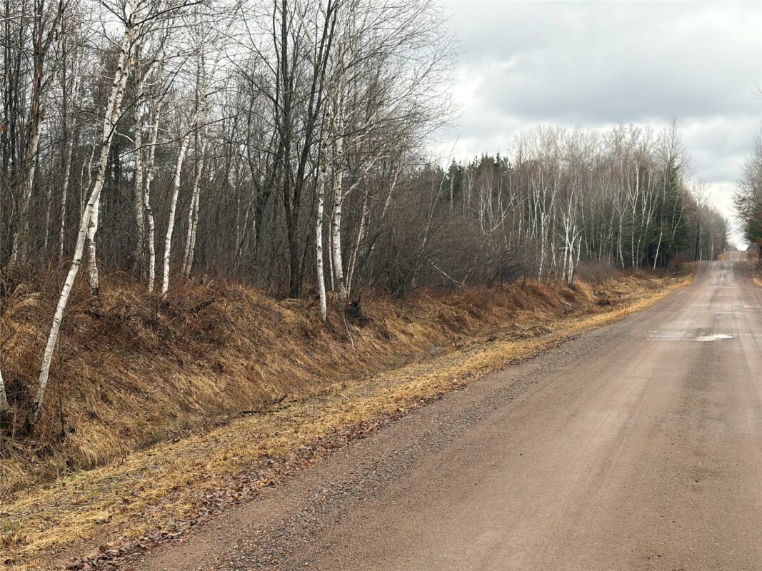 ON Sheep Camp Road Ladysmith WI 54848 — photo 3