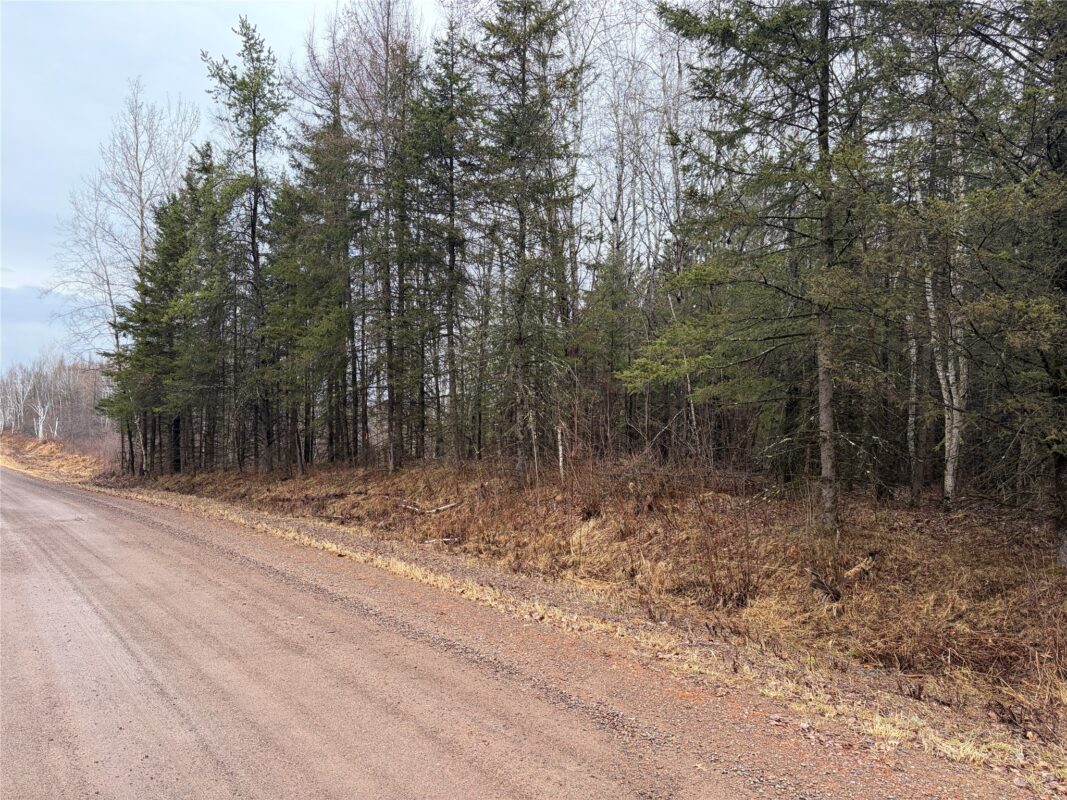 ON Sheep Camp Road Ladysmith WI 54848 — photo 5