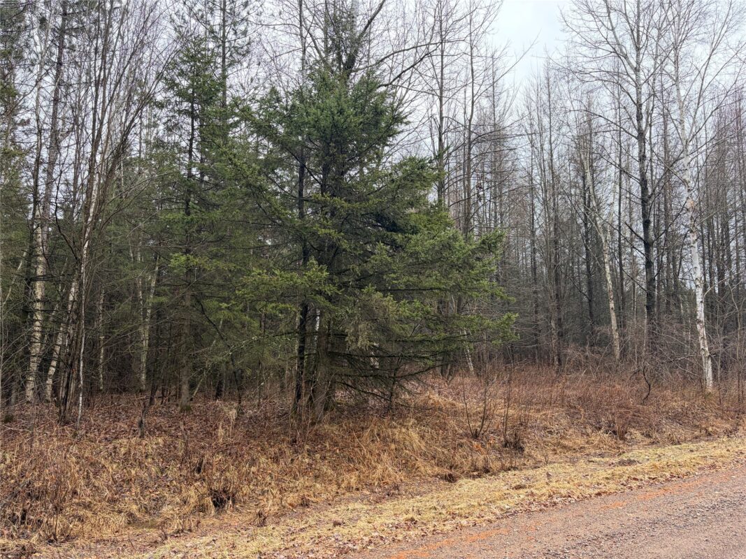 ON Sheep Camp Road Ladysmith WI 54848 — photo 6