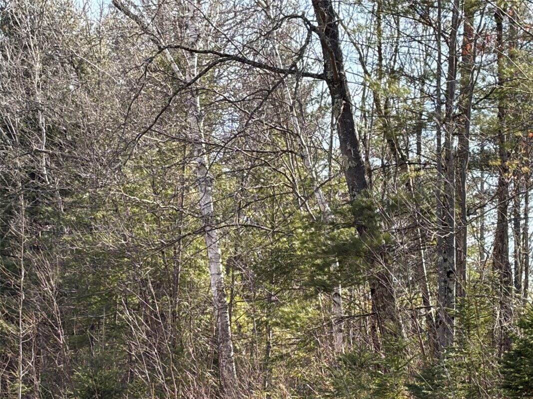 ON State Highway 70, Park Falls, WI