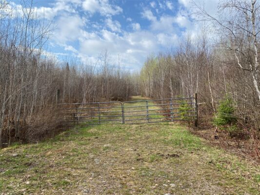 ON Wilson Lake Road Phillips WI 54555 — photo 1
