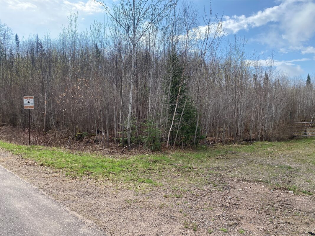 ON Wilson Lake Road Phillips WI 54555 — photo 3