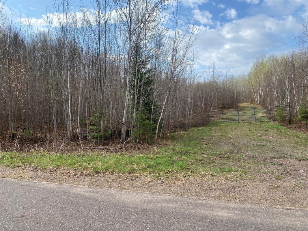 ON Wilson Lake Road Phillips WI 54555 — photo 4