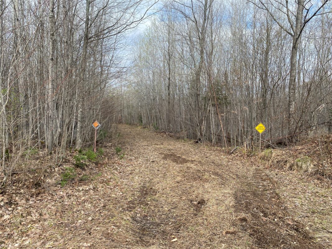 ON Wilson Lake Road Phillips WI 54555 — photo 5
