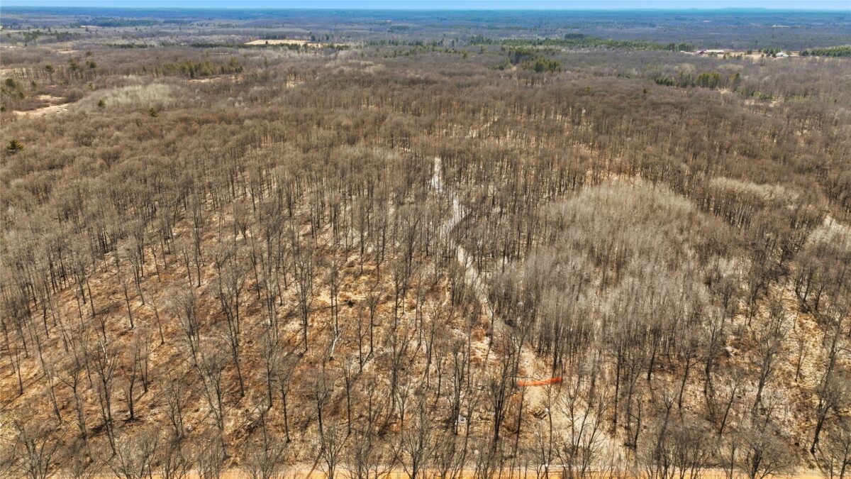 OOO MAPLE Granton WI 54436 — photo 12