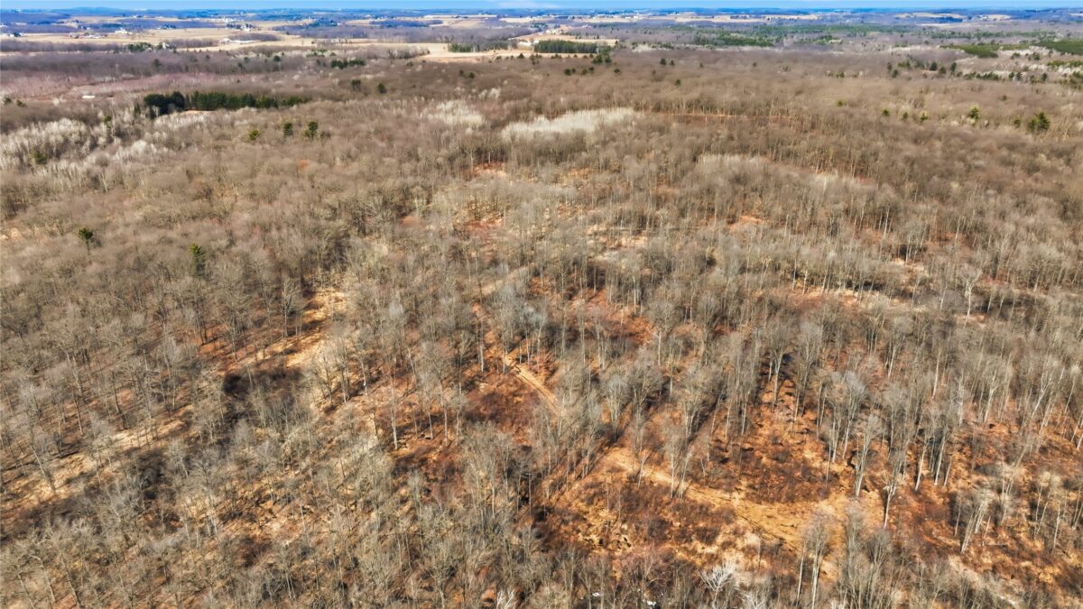 OOO MAPLE Granton WI 54436 — photo 15