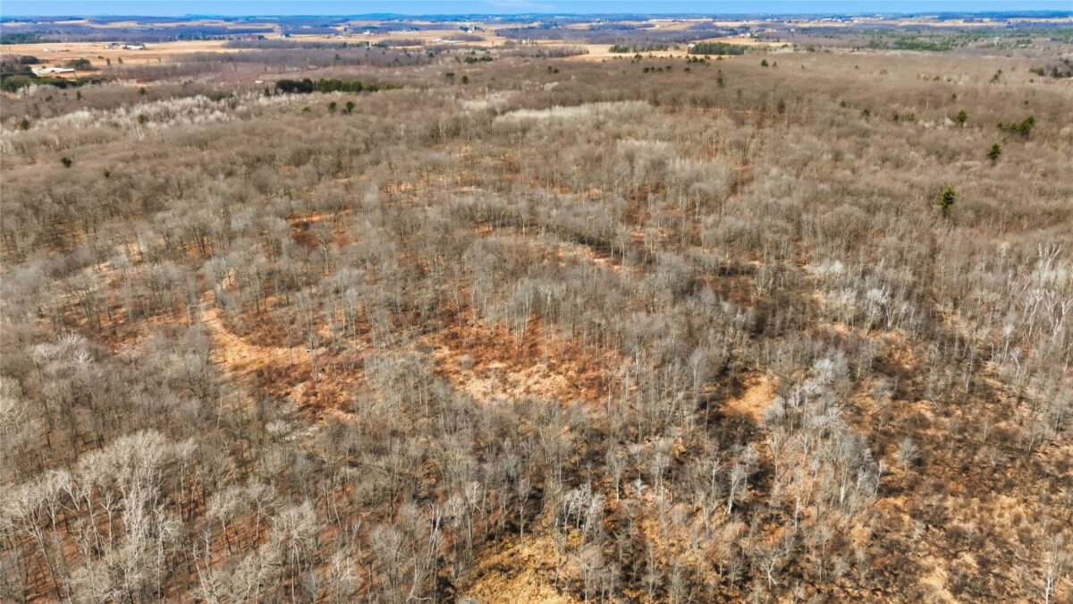 OOO MAPLE Granton WI 54436 — photo 17