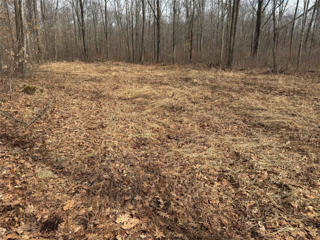 OOO MAPLE Granton WI 54436 — photo 19