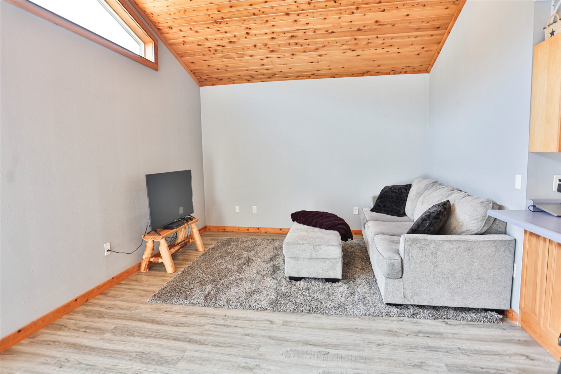 S214 Mckay Avenue Spring Valley WI 54767 — photo 28