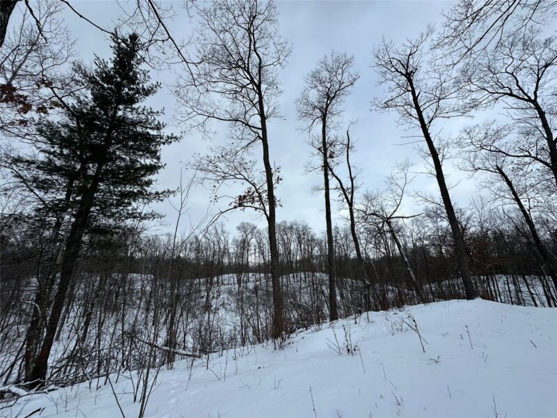 TBD 10 Acres Antler Lake Drive