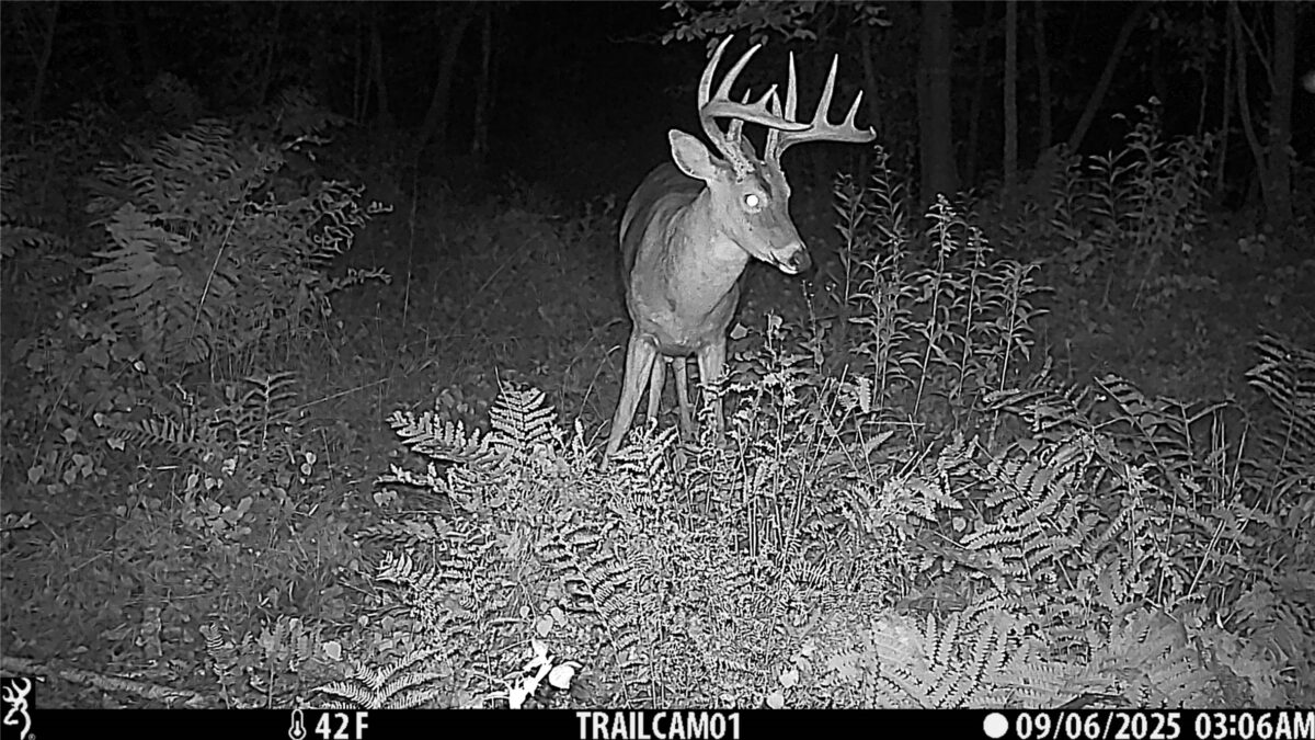 TBD 10 Acres Antler Lake Drive Milltown WI 54858 — photo 10