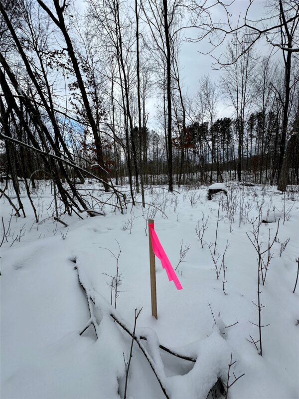 TBD 10 Acres Antler Lake Drive Milltown WI 54858 — photo 11