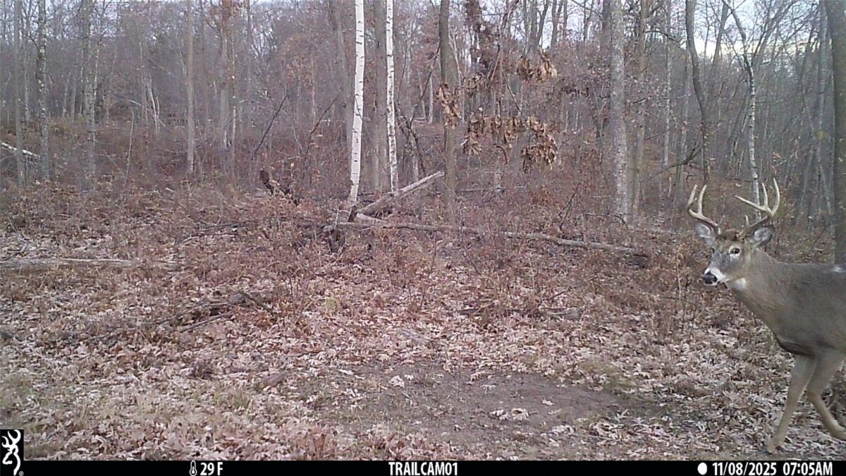 TBD 10 Acres Antler Lake Drive Milltown WI 54858 — photo 13