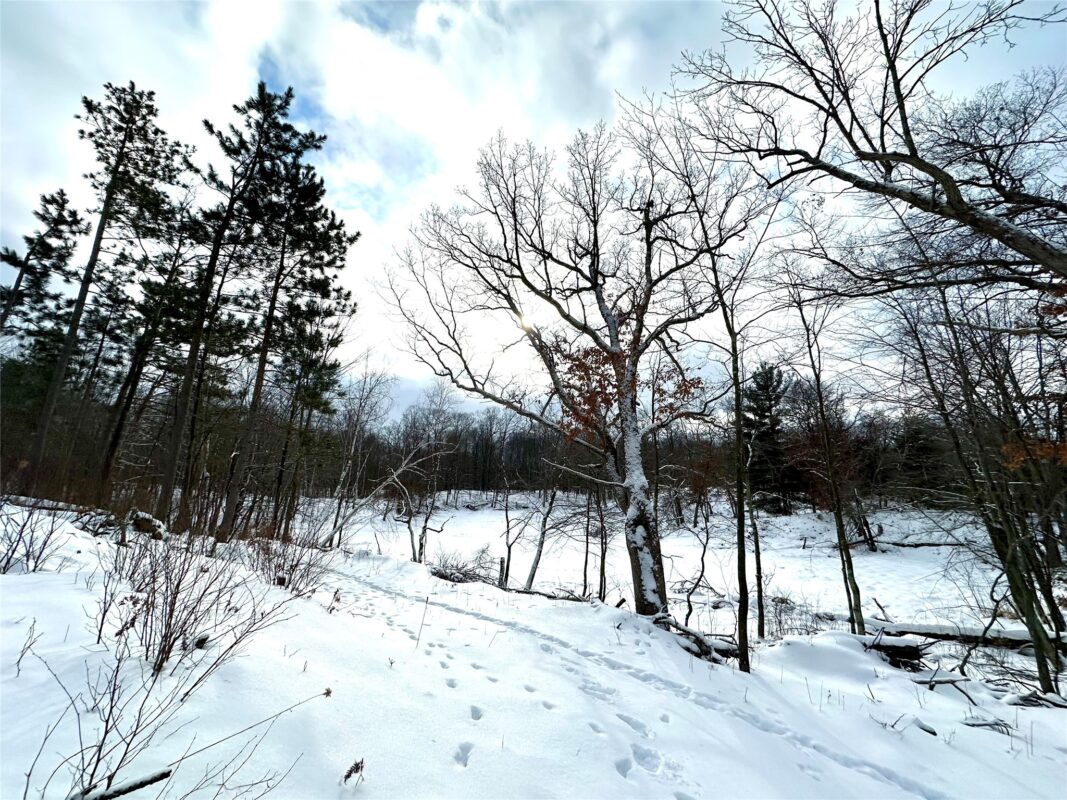 TBD 10 Acres Antler Lake Drive Milltown WI 54858 — photo 14