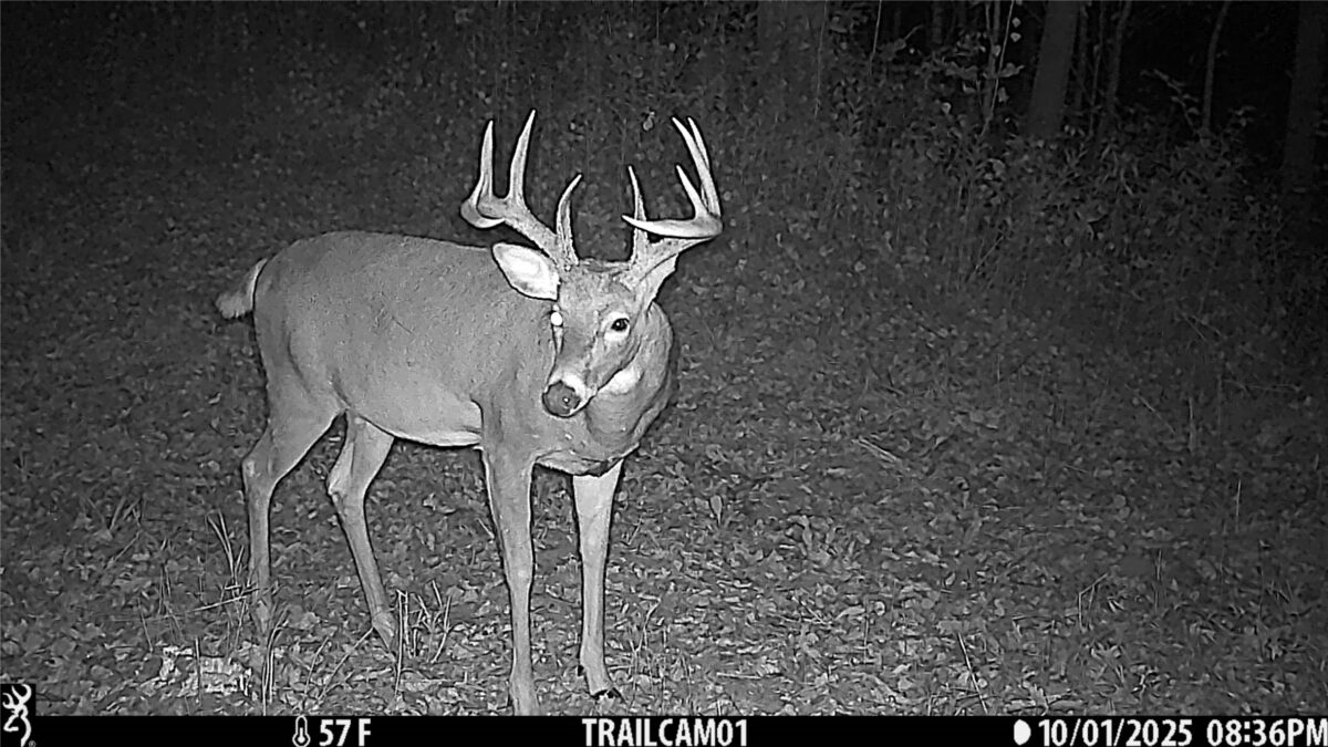 TBD 10 Acres Antler Lake Drive Milltown WI 54858 — photo 15