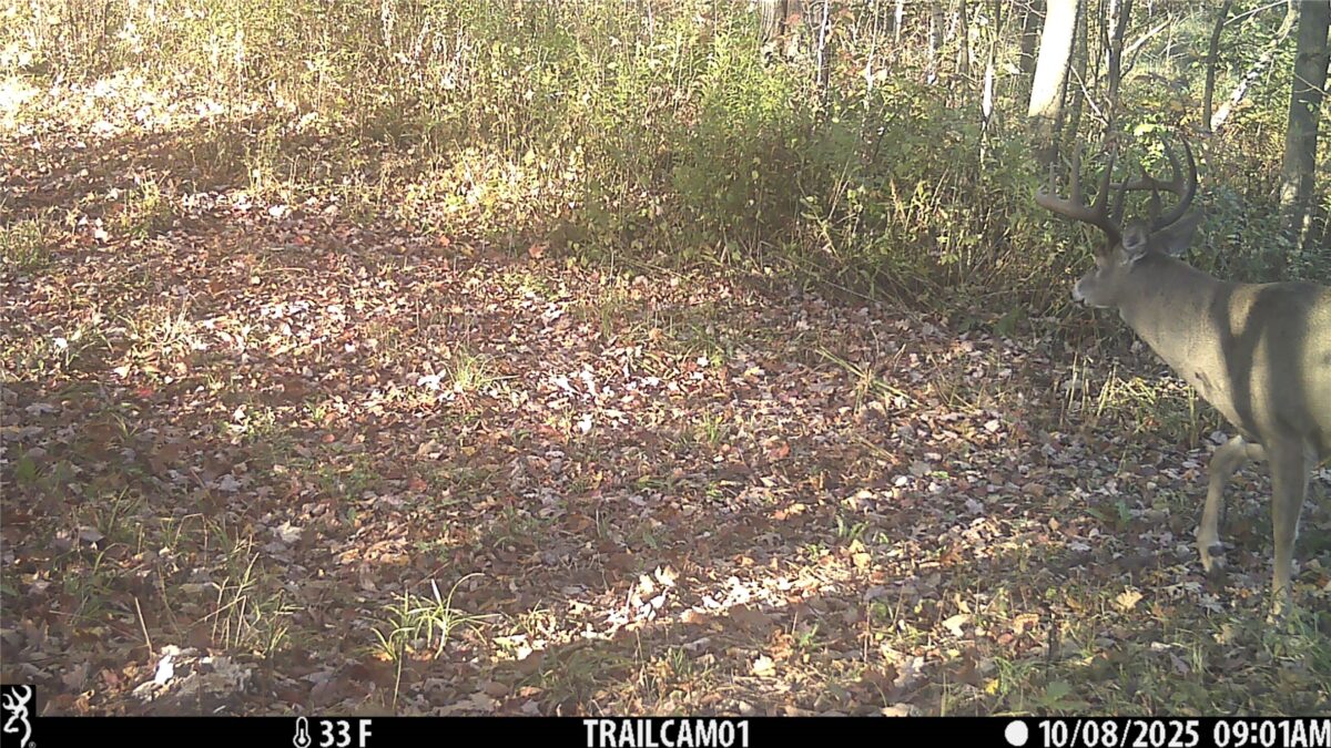 TBD 10 Acres Antler Lake Drive Milltown WI 54858 — photo 16