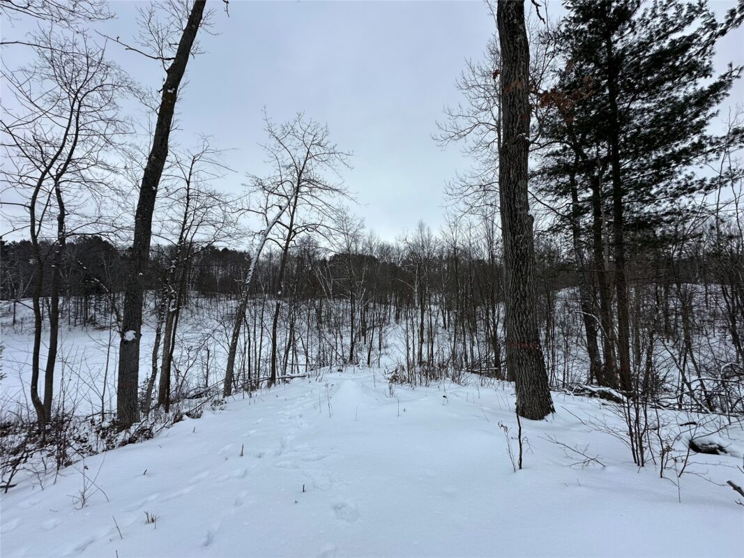 TBD 10 Acres Antler Lake Drive Milltown WI 54858 — photo 17