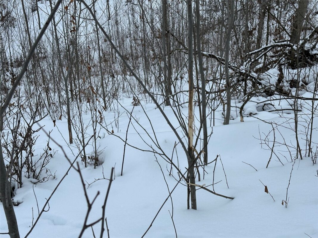 TBD 10 Acres Antler Lake Drive Milltown WI 54858 — photo 19