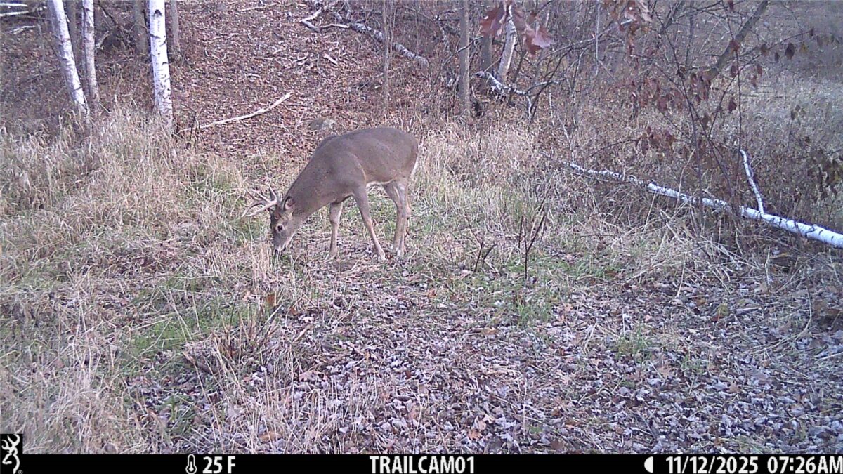 TBD 10 Acres Antler Lake Drive Milltown WI 54858 — photo 20
