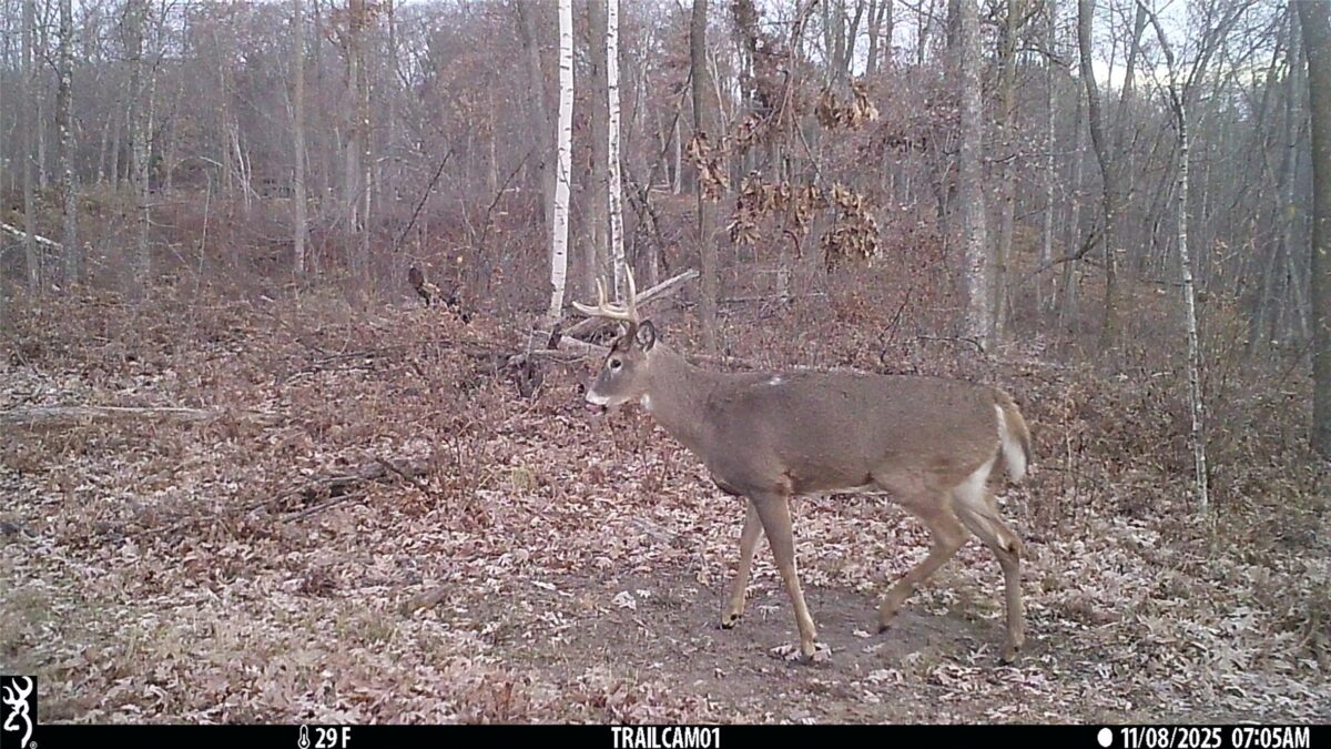TBD 10 Acres Antler Lake Drive Milltown WI 54858 — photo 22