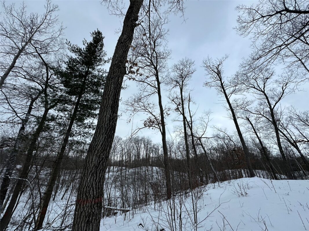 TBD 10 Acres Antler Lake Drive Milltown WI 54858 — photo 23