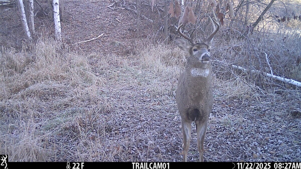 TBD 10 Acres Antler Lake Drive Milltown WI 54858 — photo 24