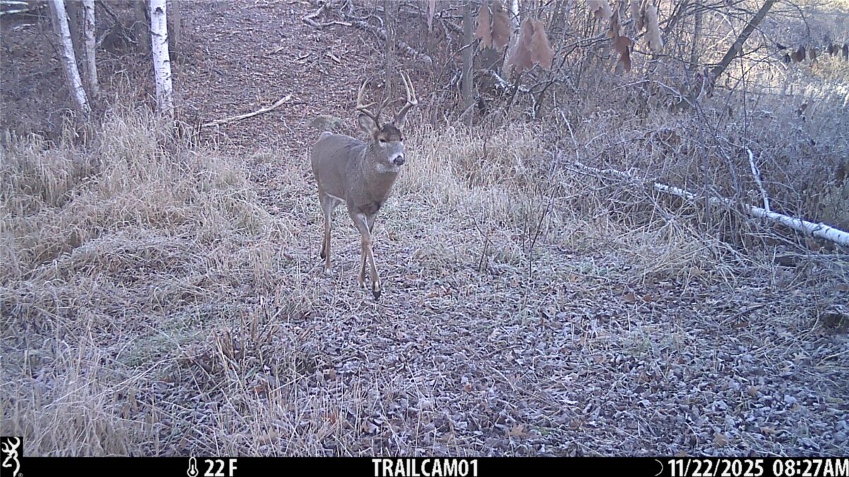TBD 10 Acres Antler Lake Drive Milltown WI 54858 — photo 25