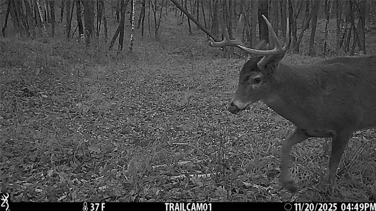 TBD 10 Acres Antler Lake Drive Milltown WI 54858 — photo 27