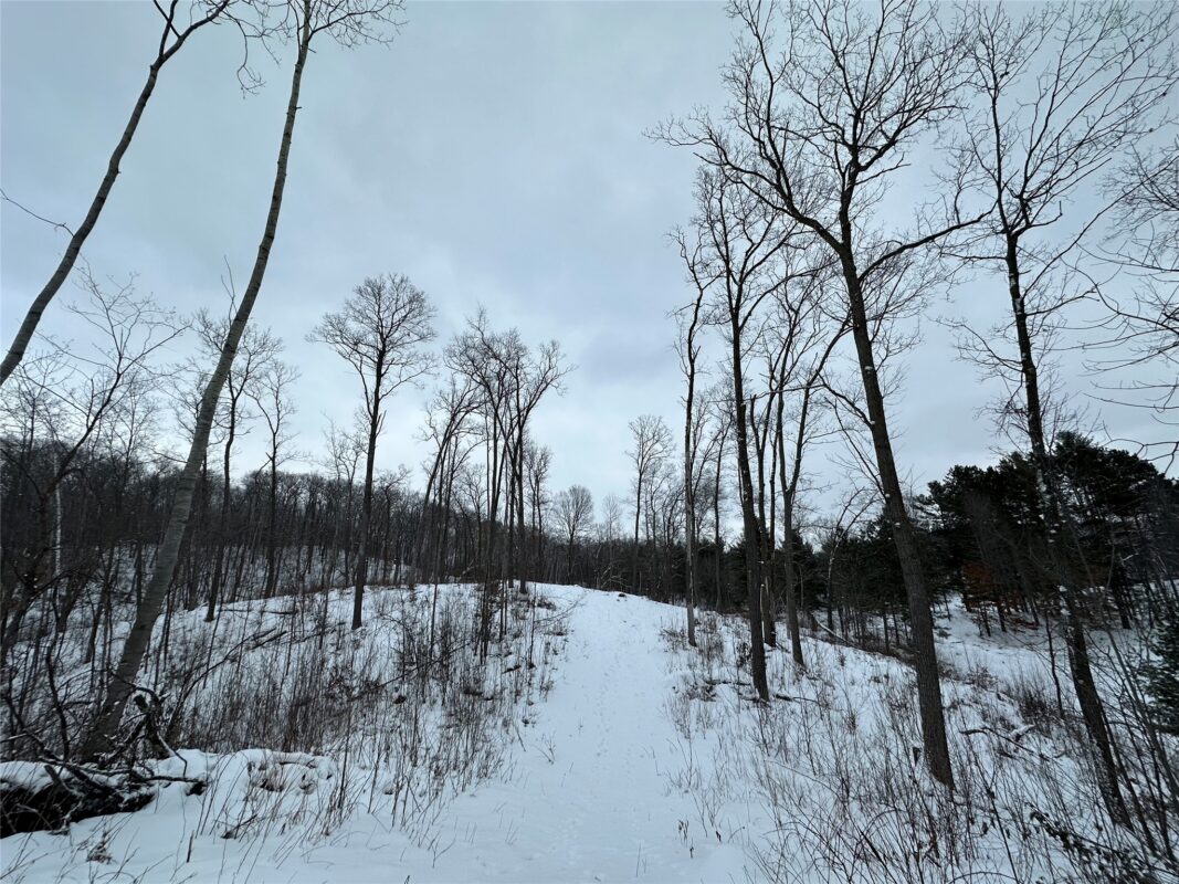TBD 10 Acres Antler Lake Drive Milltown WI 54858 — photo 28
