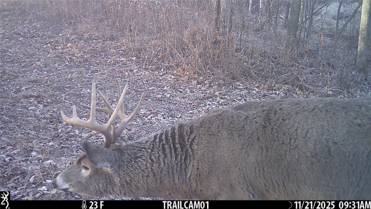 TBD 10 Acres Antler Lake Drive Milltown WI 54858 — photo 29