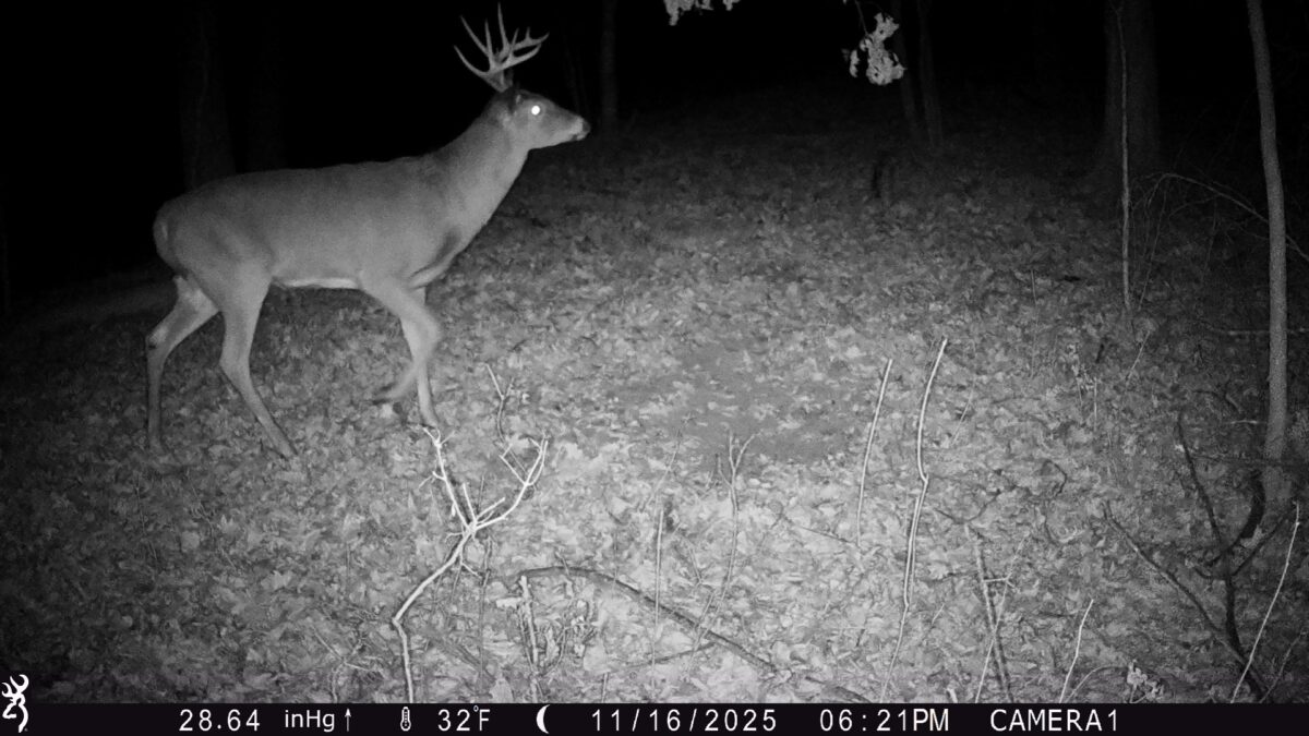 TBD 10 Acres Antler Lake Drive Milltown WI 54858 — photo 31