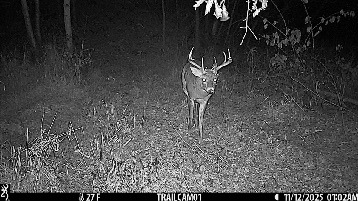 TBD 10 Acres Antler Lake Drive Milltown WI 54858 — photo 32