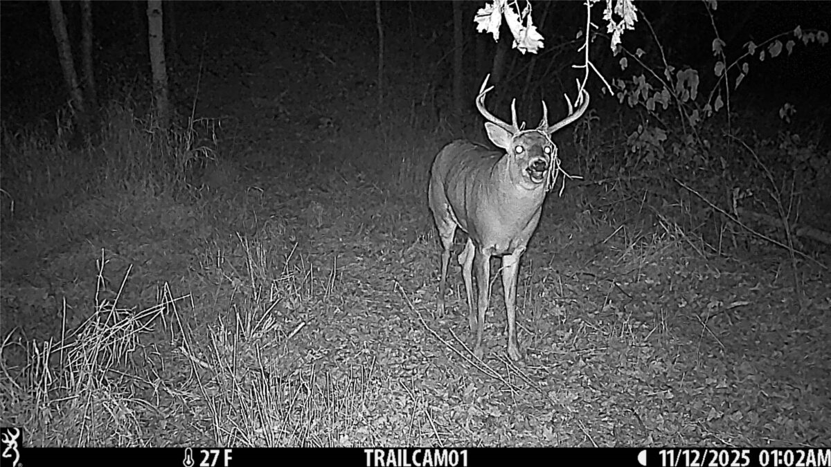 TBD 10 Acres Antler Lake Drive Milltown WI 54858 — photo 33