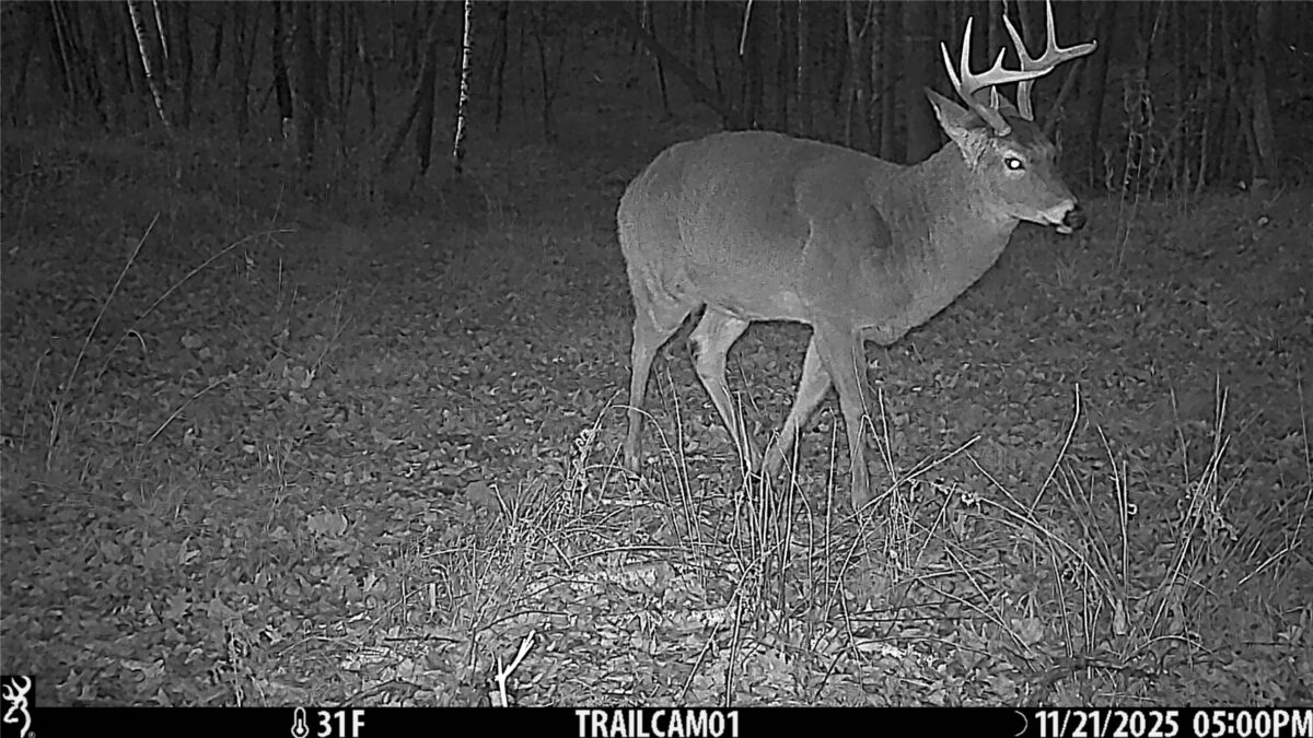 TBD 10 Acres Antler Lake Drive Milltown WI 54858 — photo 34