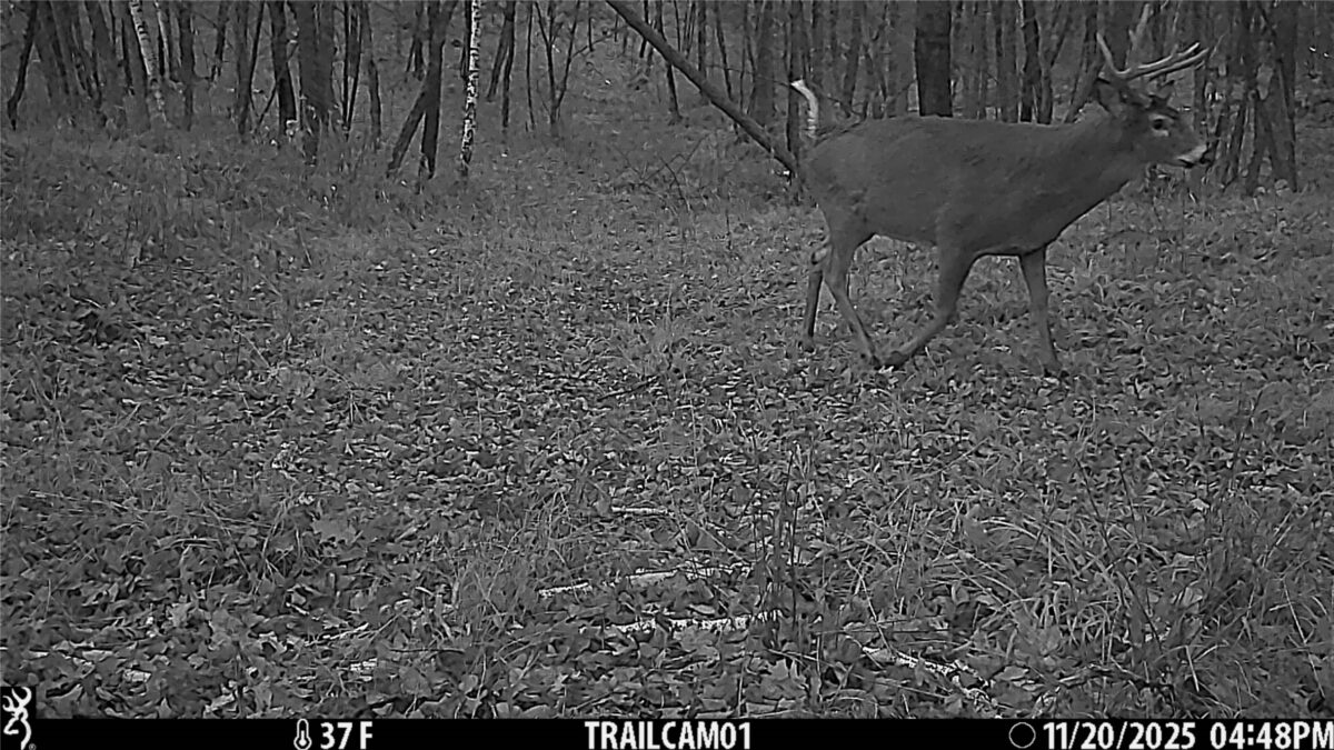 TBD 10 Acres Antler Lake Drive Milltown WI 54858 — photo 35