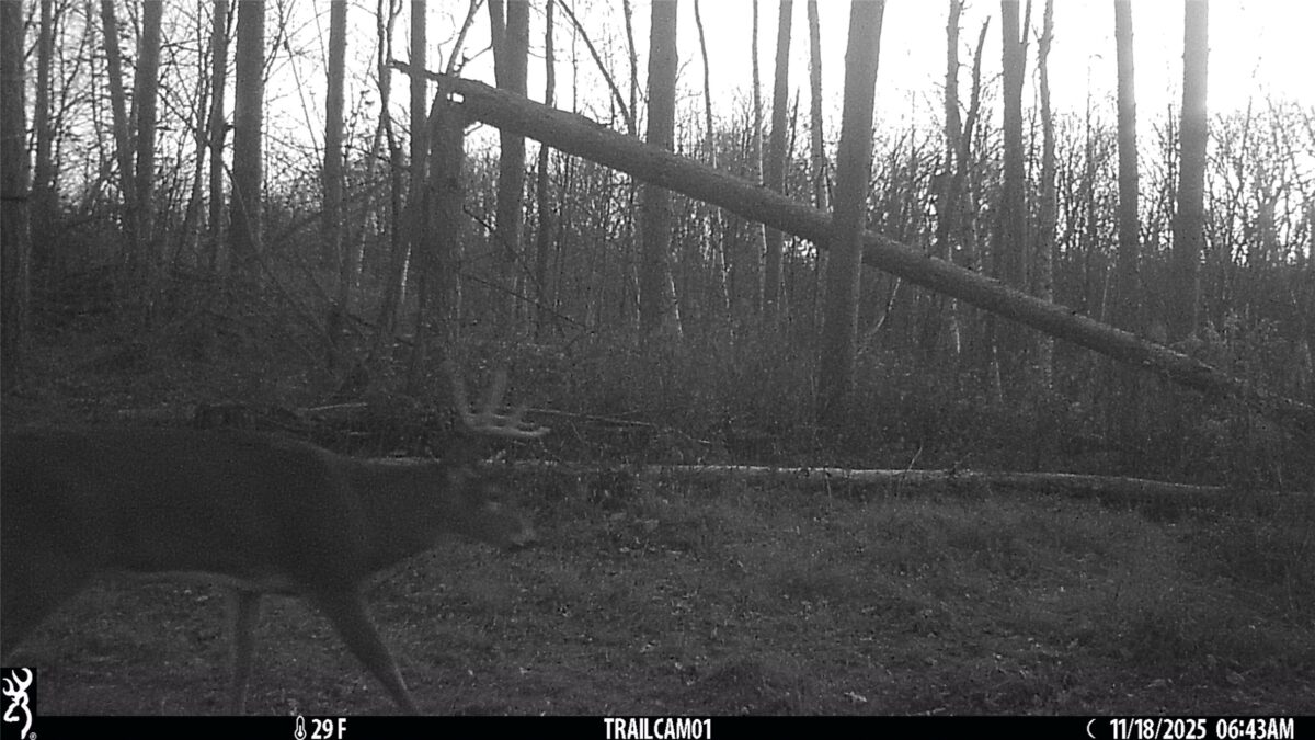 TBD 10 Acres Antler Lake Drive Milltown WI 54858 — photo 36