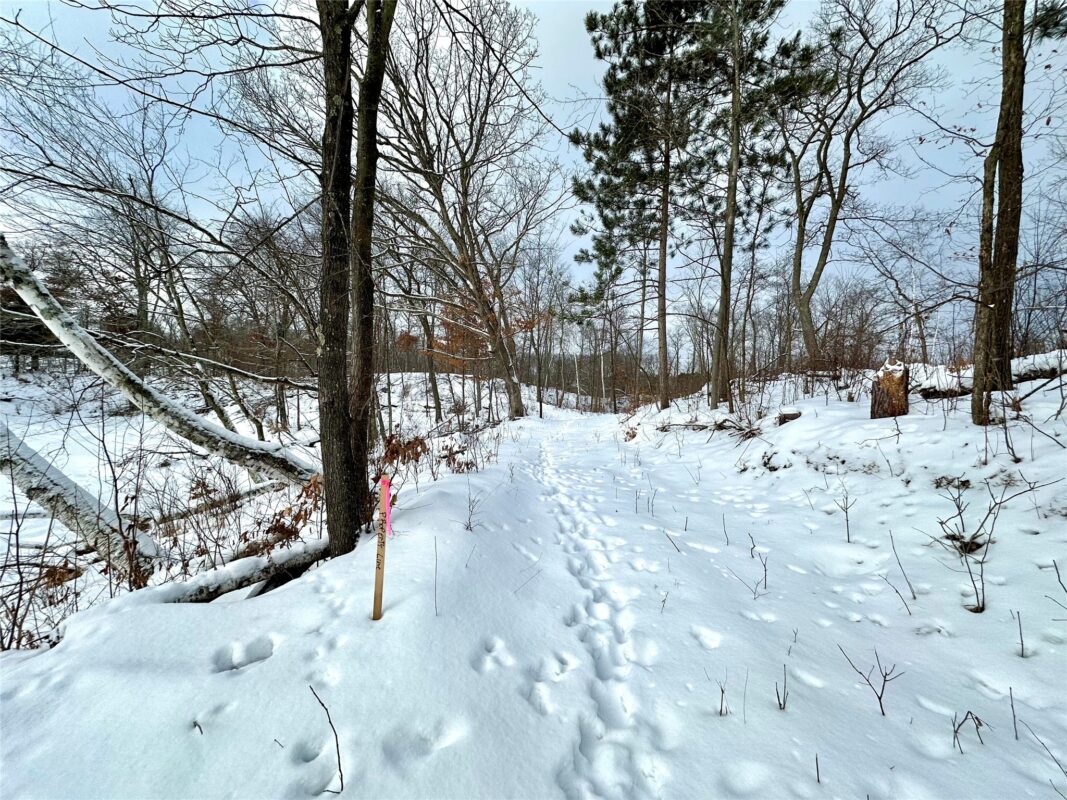 TBD 10 Acres Antler Lake Drive Milltown WI 54858 — photo 7