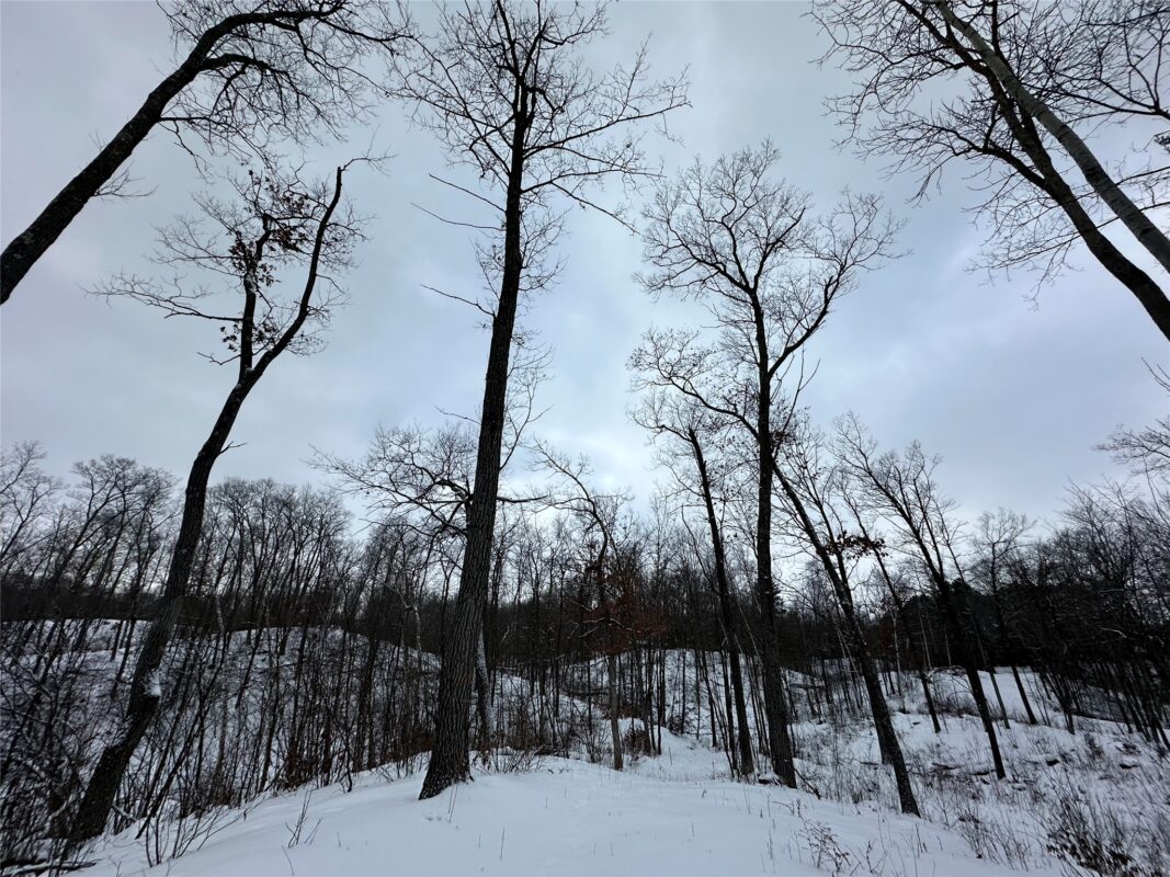 TBD 10 Acres Antler Lake Drive Milltown WI 54858 — photo 9