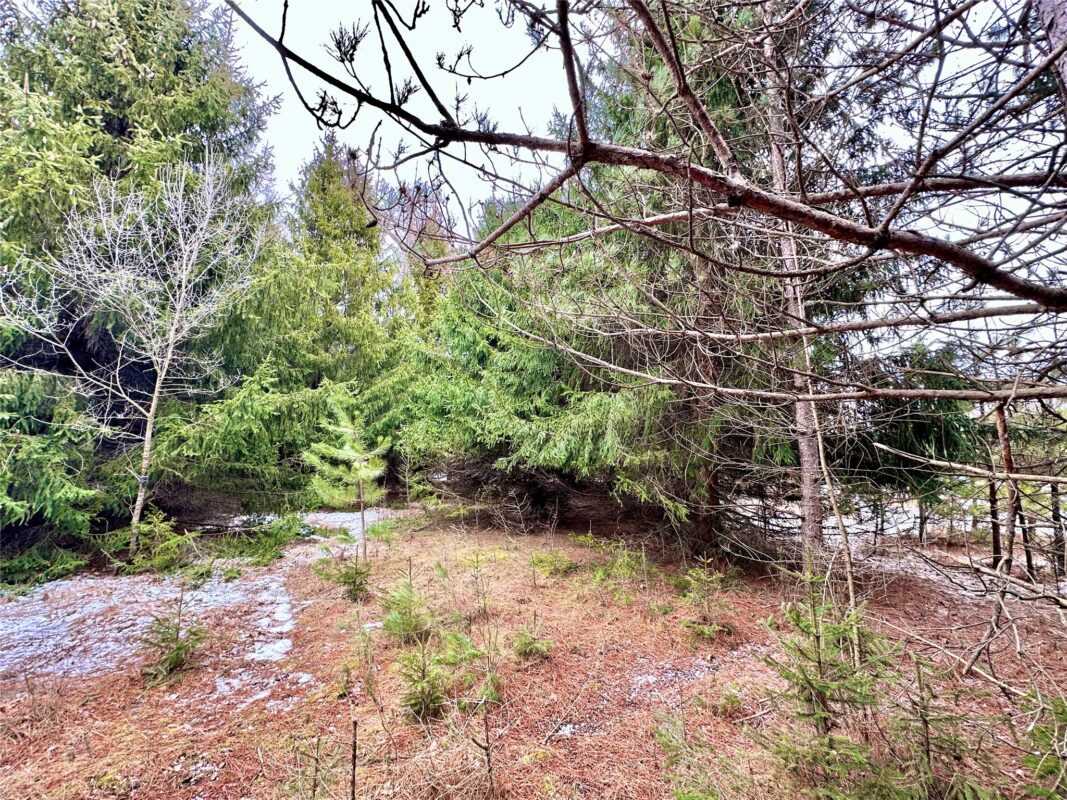 TBD 20 Acres 630th Street Colfax WI 54730 — photo 13