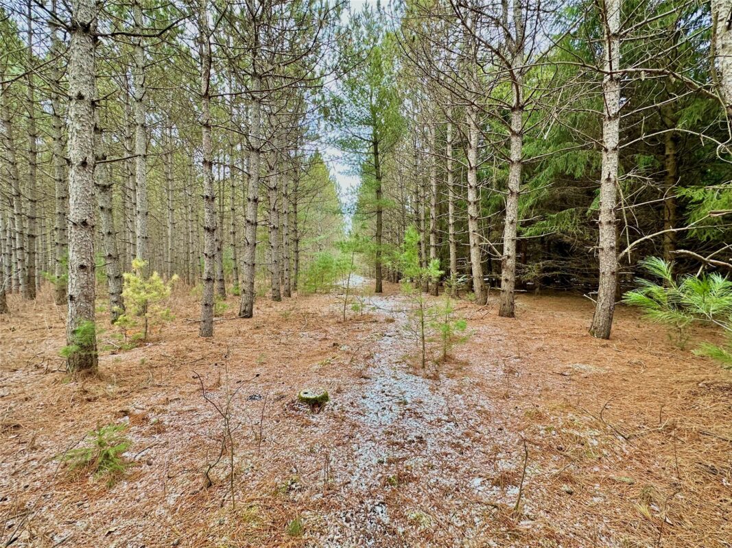 TBD 20 Acres 630th Street Colfax WI 54730 — photo 16