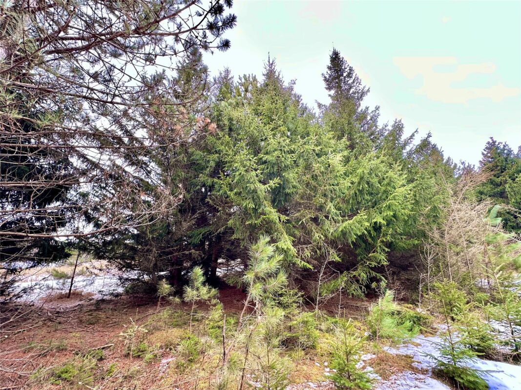 TBD 20 Acres 630th Street Colfax WI 54730 — photo 20