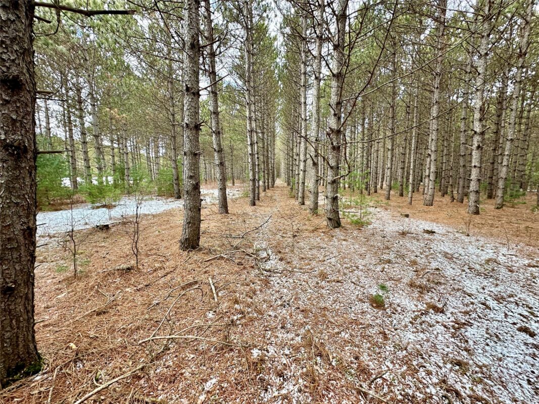 TBD 20 Acres 630th Street Colfax WI 54730 — photo 23