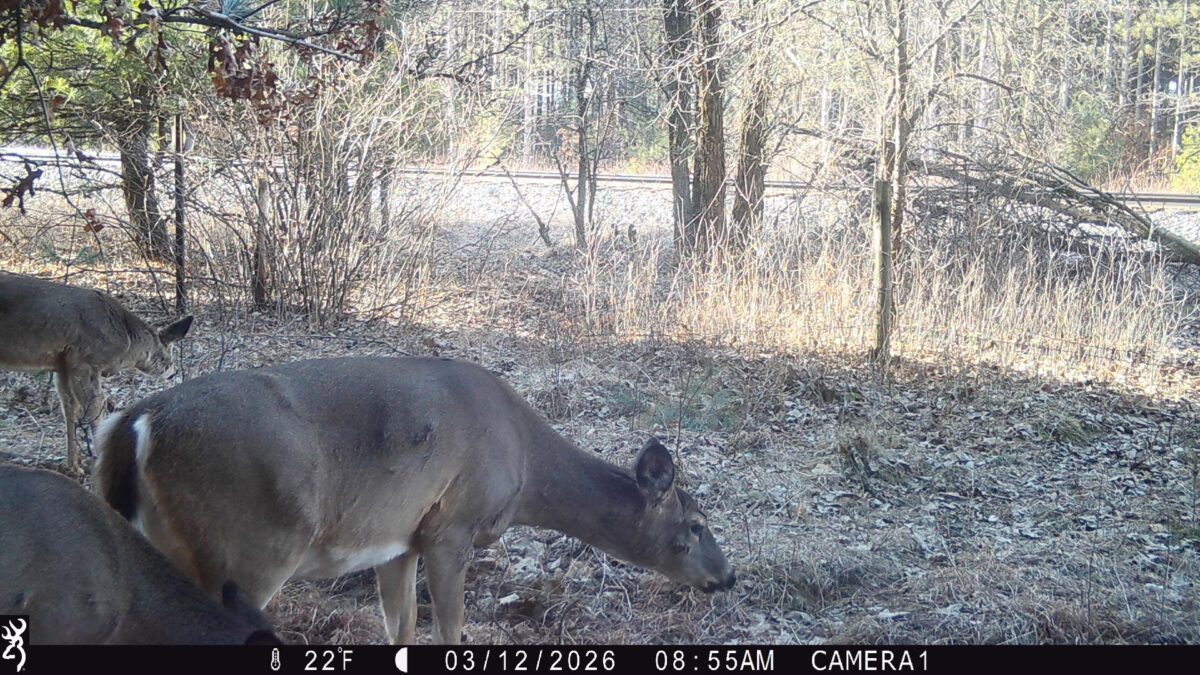 TBD 20 Acres 630th Street Colfax WI 54730 — photo 28