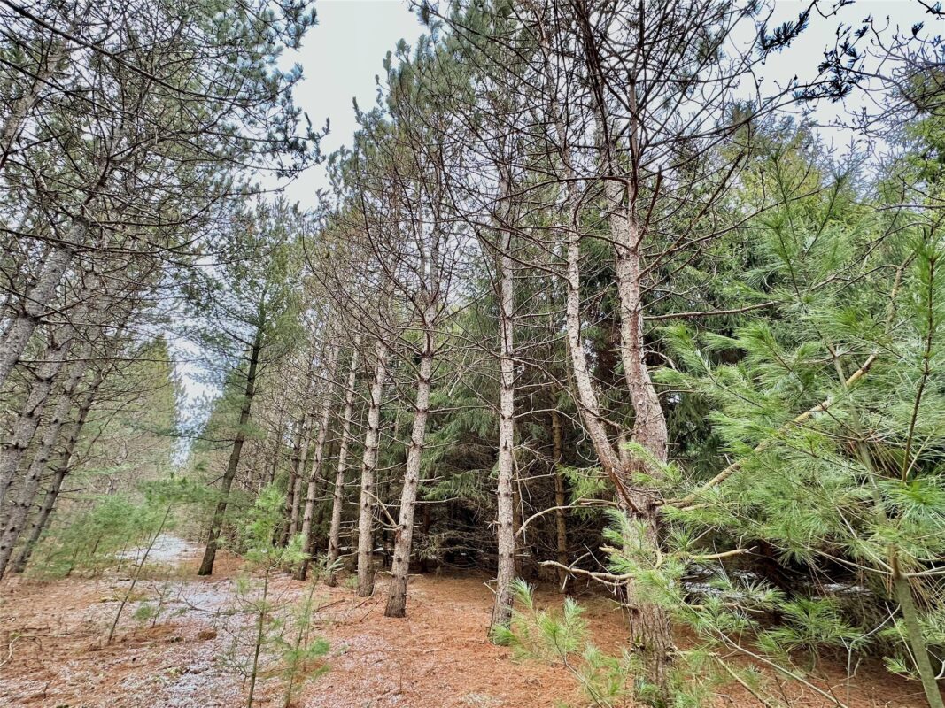 TBD 20 Acres 630th Street Colfax WI 54730 — photo 43
