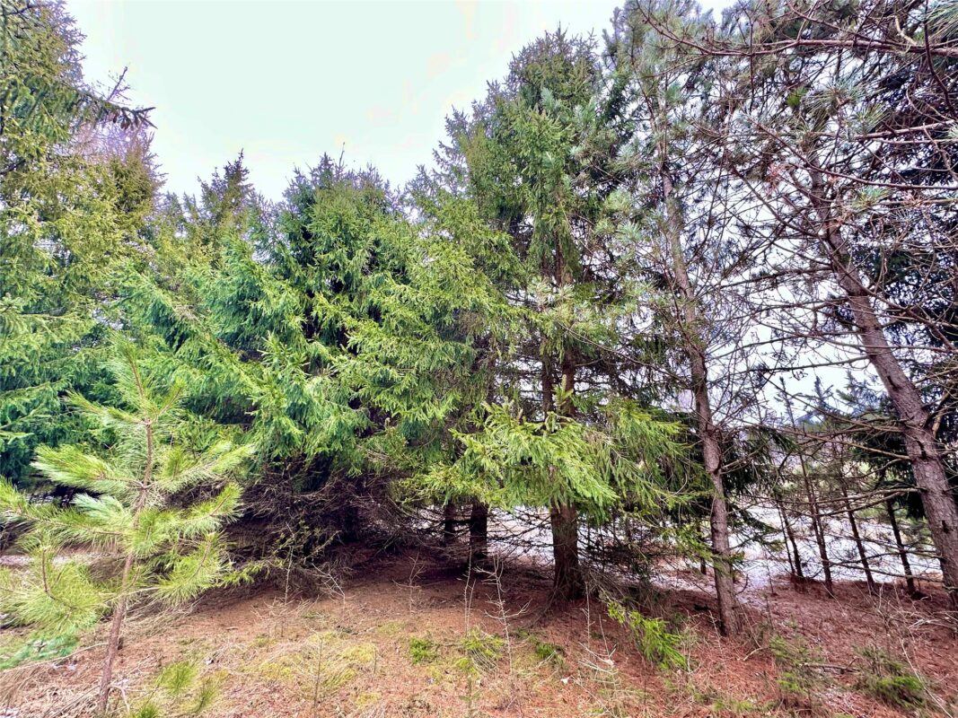 TBD 20 Acres 630th Street Colfax WI 54730 — photo 45