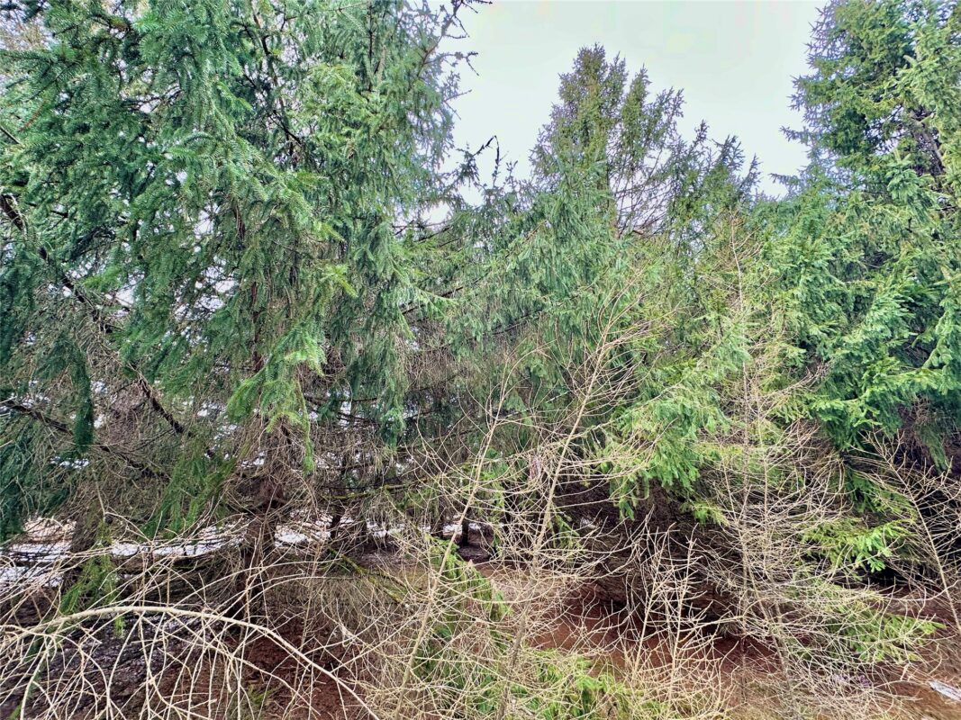 TBD 20 Acres 630th Street Colfax WI 54730 — photo 47