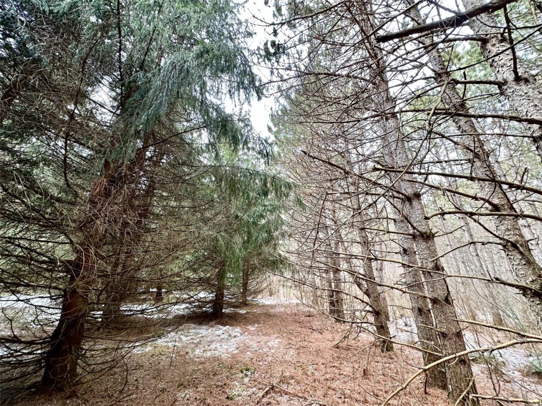 TBD 20 Acres 630th Street Colfax WI 54730 — photo 49