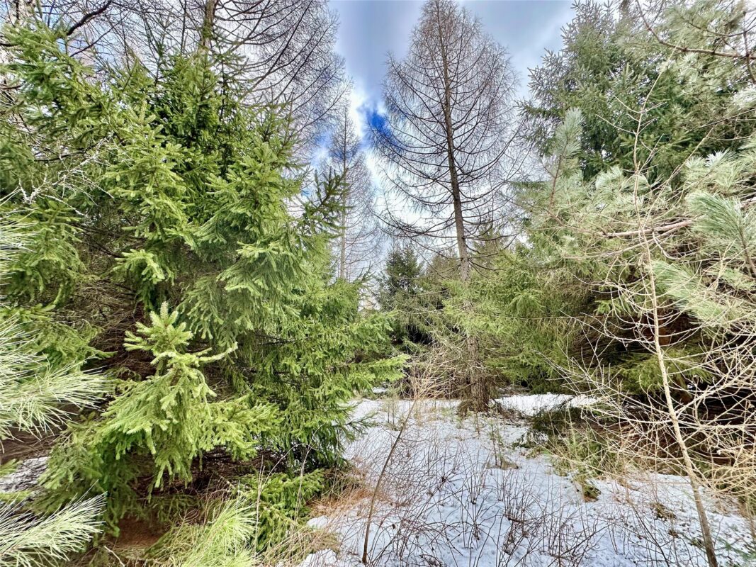 TBD 20 Acres 630th Street Colfax WI 54730 — photo 51